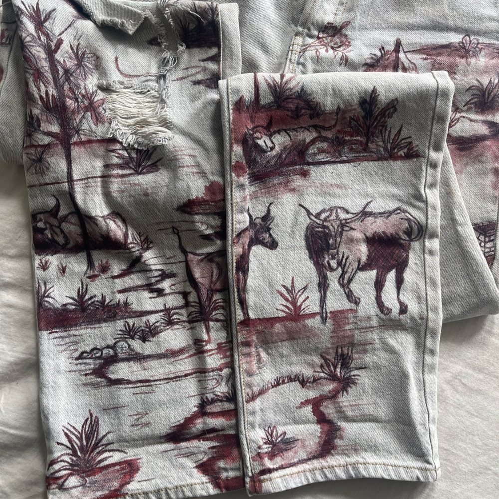 Hand painted Pacsun Dad Jeans